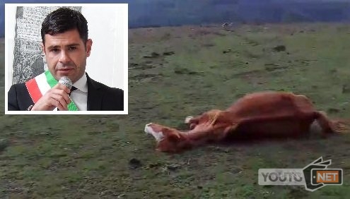 Cavallo Morto Dolianova Sindaco Ivan Piras