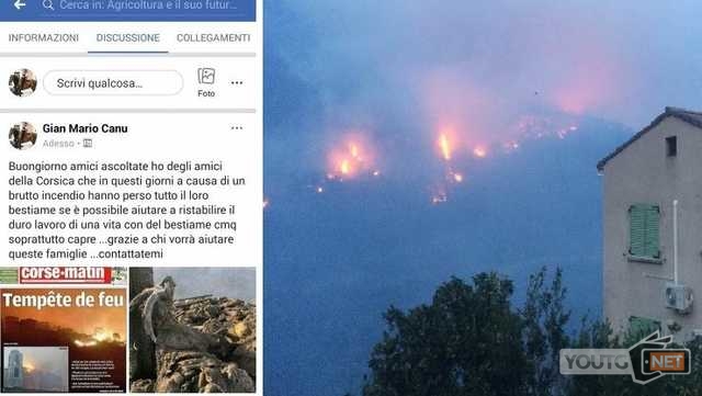 Incendio Corsica Paradura