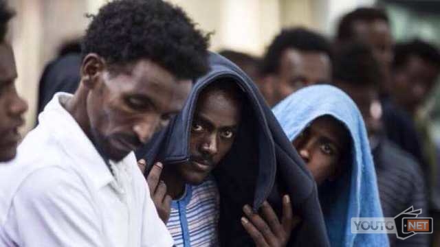 Migranti 45