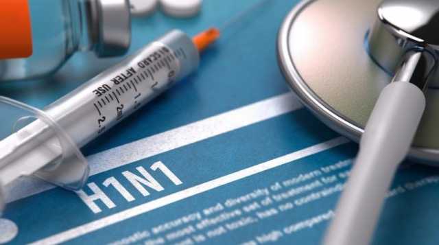 H1n1 Febbre Suina