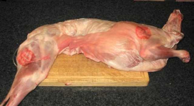 Agnello Macelleria