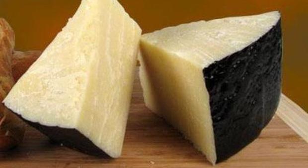 2032924 Pecorino