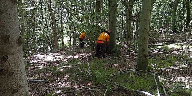 Forestas Operai