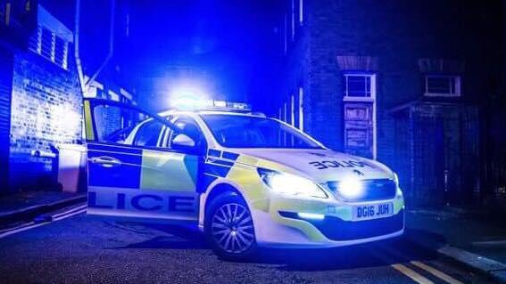 Polizia Britannica