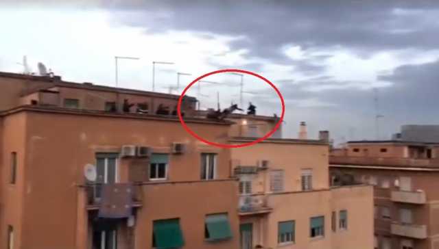 Suicida Roma