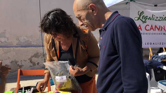 Marijuana Terapeutica
