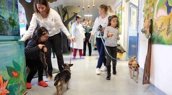 Pet Therapy In Ospedale