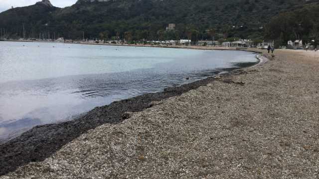 Pulizia Poetto Quartu