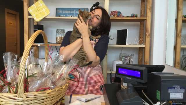 Cat Cafe Cagliari San Cosimo