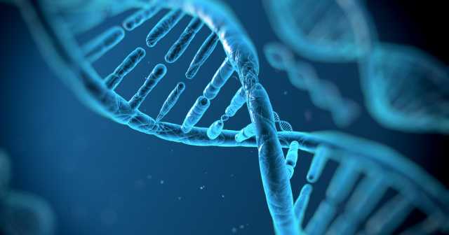 Dna Genetica