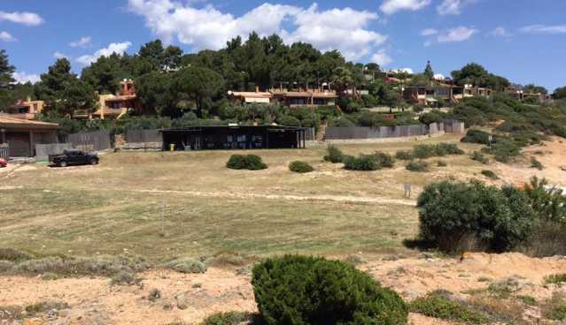 Pinus Village