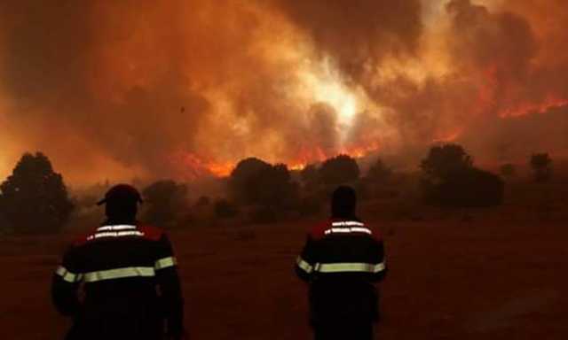 Incendio Incendi Sardegna Forestale Uno
