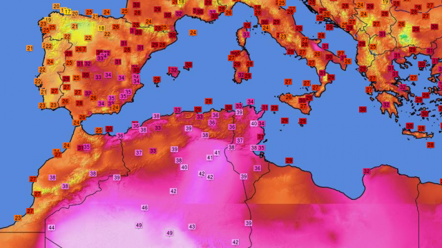 Caldo Africano Bufala Meteo