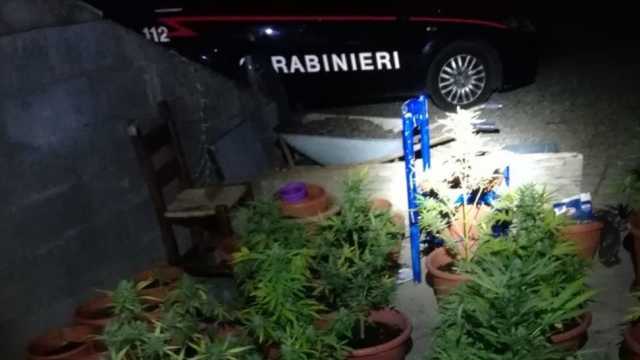 Carabinieri Arbus Marijuana