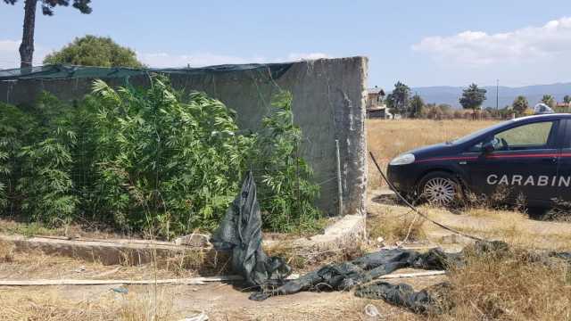 Marijuana Flumini Quartu