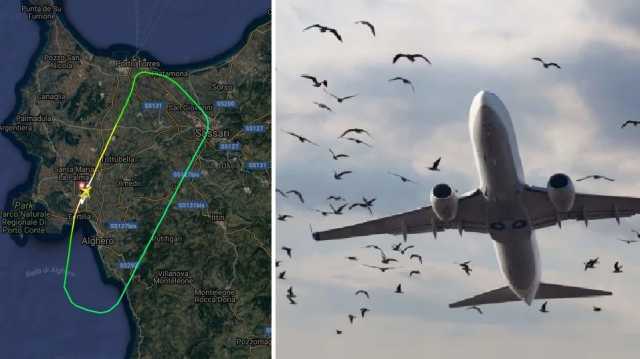 Bird Strike Incidente Alghero