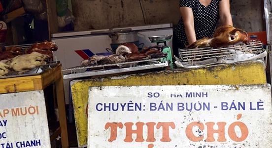 Dog Meat