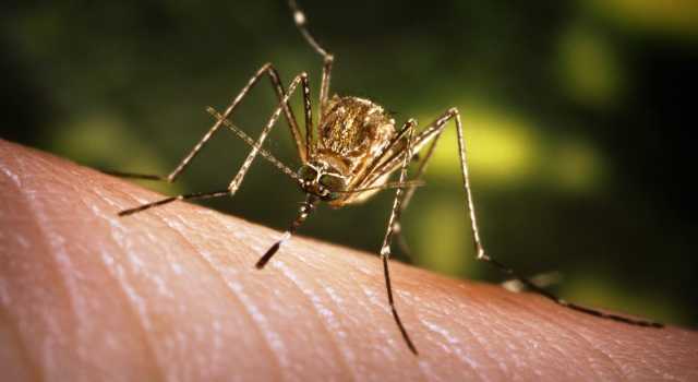 West Nile