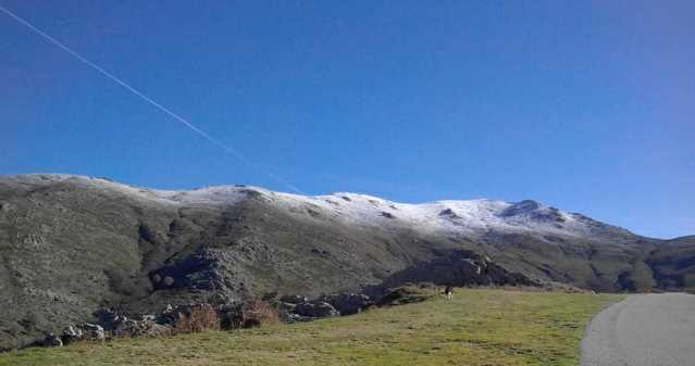 Bruncuspina Neve