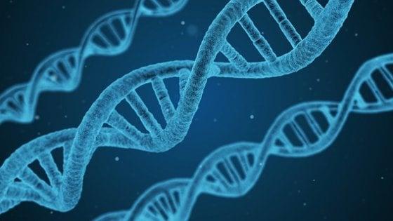 Dna
