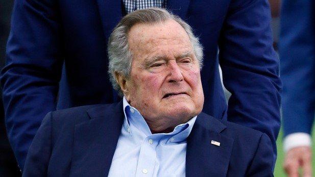 Bush