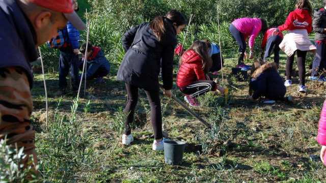 Festa Degli Alberi