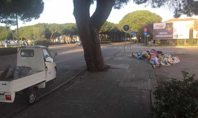 Immondizia