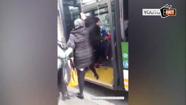 Lite Bus