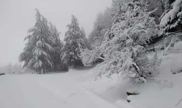 Neve Tore Moro