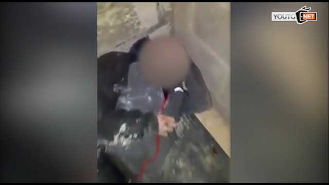Video Ladruncolo