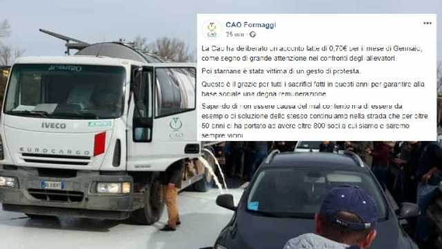 Cao Latte Versato