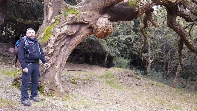 Il Monte Arci, i suoi segreti e l'ossidiana: un viaggio con "Sardegna Fuori Rotta"