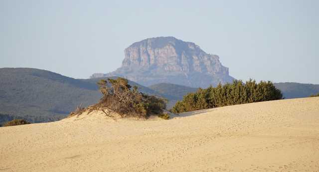 Dune Di Piscinas