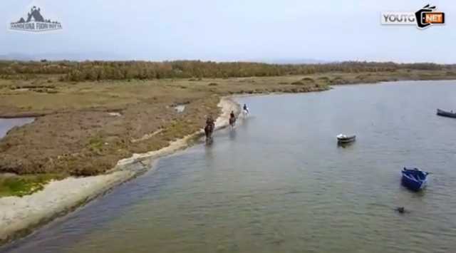 In sella ai cavalli alla scoperta della laguna: 