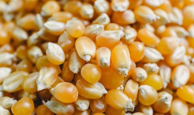 Mais Pop Corn