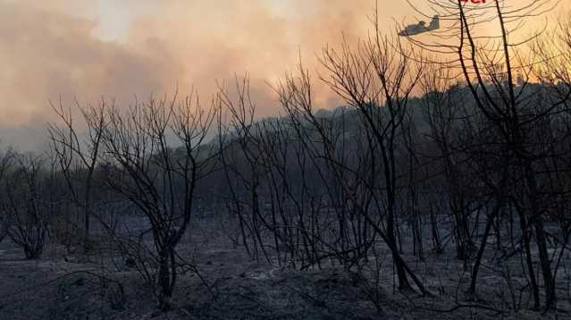 INcendio 12
