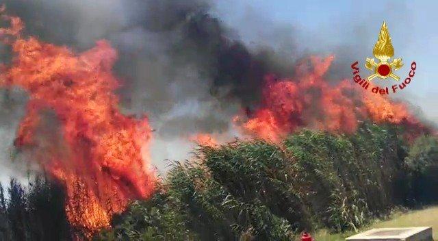 Incendiovvf
