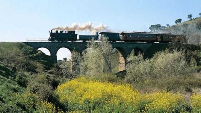 Trenino Verde