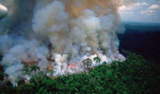 Amazzonia