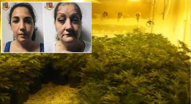 Marijuana Snrobì Con Fotine