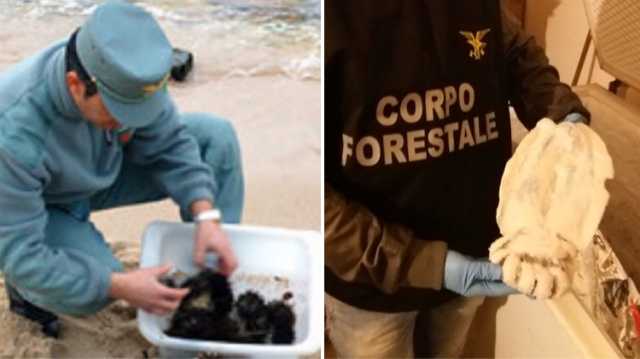 Pesce Sequestrato Ricci