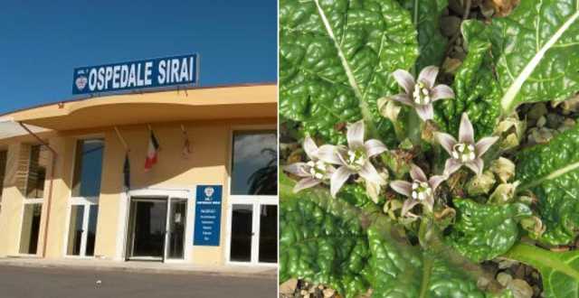 Ospedale Sirai Carbonia Mandragora