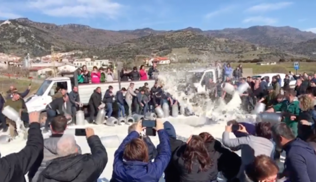 Protesta Pastori Sardi 1uno