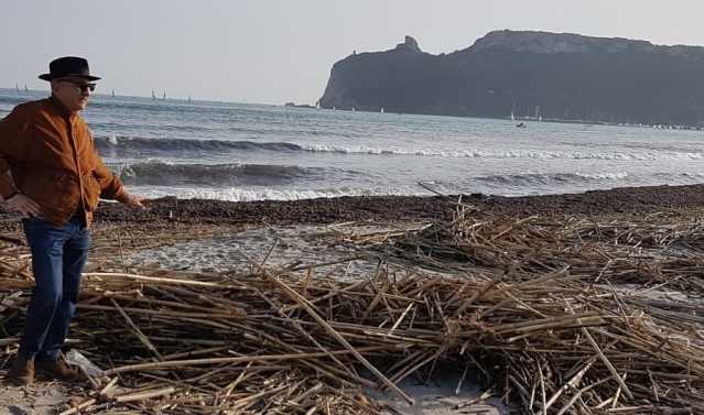 Canne Poetto