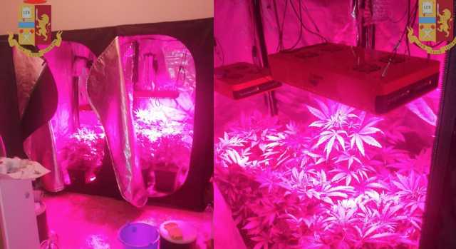 Serra Marijuana Assemini