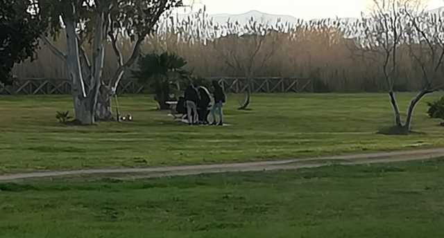 Parco Molentargius Ragazzini
