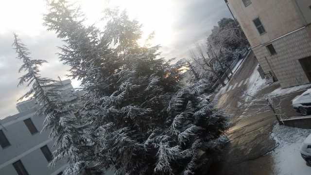 NEVE LANUSEI 2