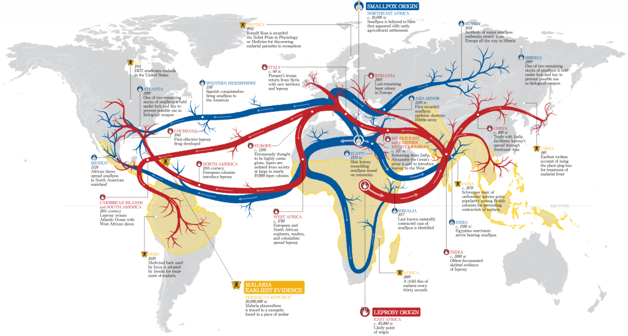 Disease Flow Map Haisam Hussein