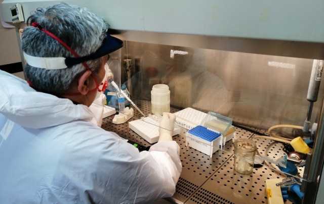 Lab Microbiologia Ss