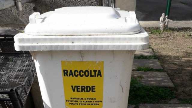 Raccolta Verde